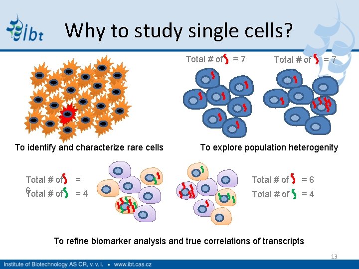 Why to study single cells? Total # of = 7 To identify and characterize