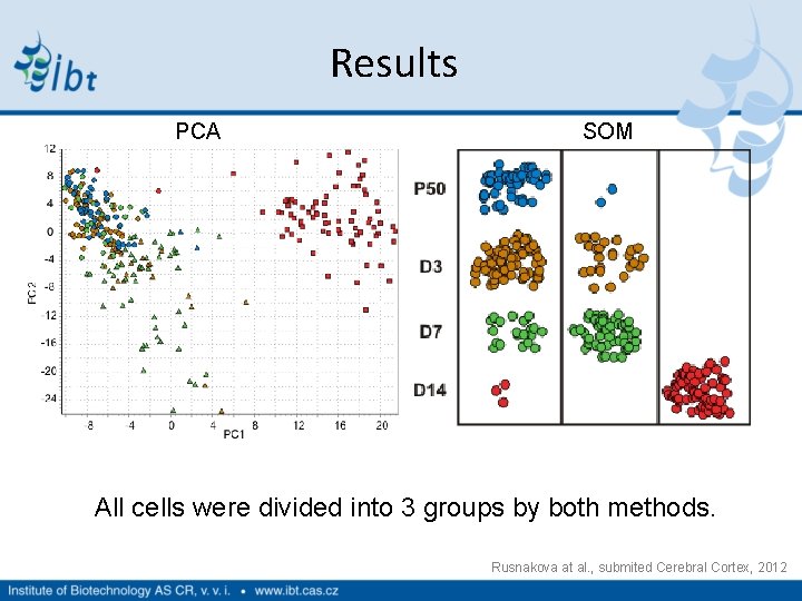 Results PCA SOM All cells were divided into 3 groups by both methods. Rusnakova