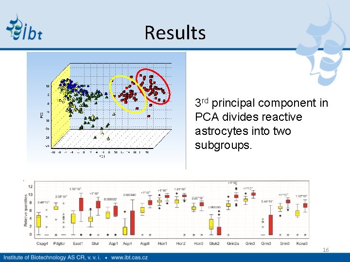 Results 3 rd principal component in PCA divides reactive astrocytes into two subgroups. 16