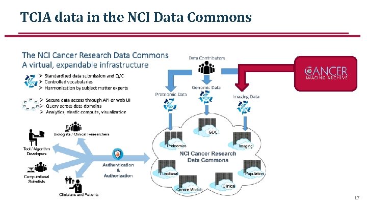 TCIA data in the NCI Data Commons 17 TCIA data in the NCI Data Commons 17