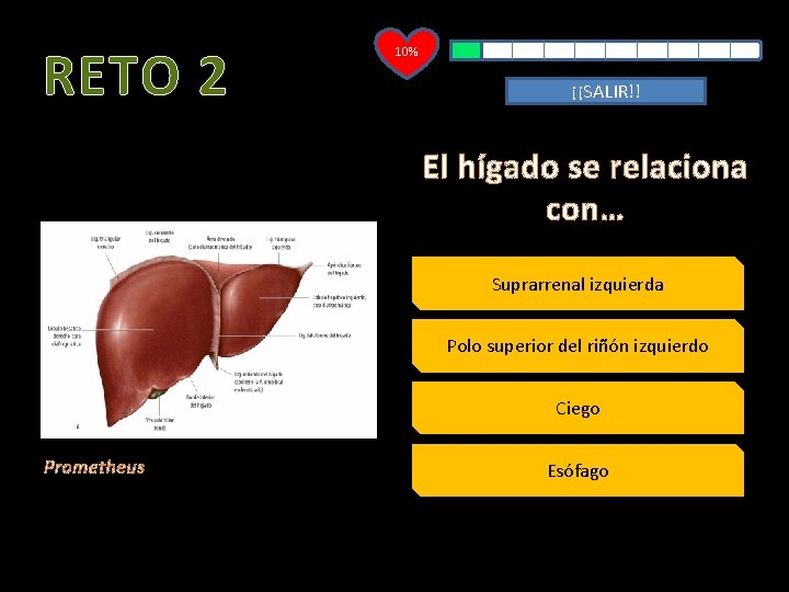 RETO 2 10% ¡¡SALIR!! El hígado se relaciona con… Suprarrenal izquierda Polo superior del