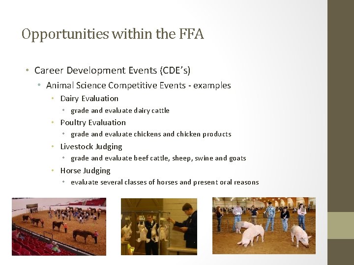 Opportunities within the FFA • Career Development Events (CDE’s) • Animal Science Competitive Events