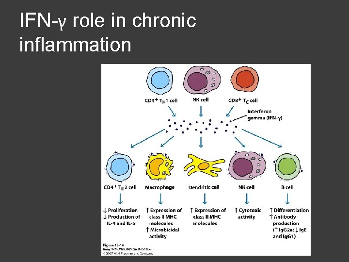 IFN-γ role in chronic inflammation 