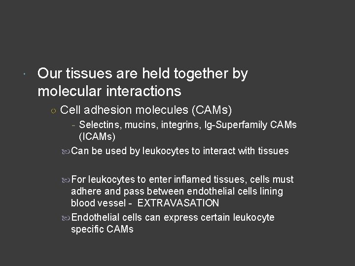  Our tissues are held together by molecular interactions ○ Cell adhesion molecules (CAMs)