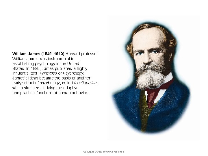 William James (1842– 1910) Harvard professor William James was instrumental in establishing psychology in William James (1842– 1910) Harvard professor William James was instrumental in establishing psychology in