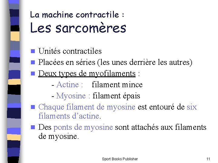 La machine contractile : Les sarcomères n n n Unités contractiles Placées en séries La machine contractile : Les sarcomères n n n Unités contractiles Placées en séries
