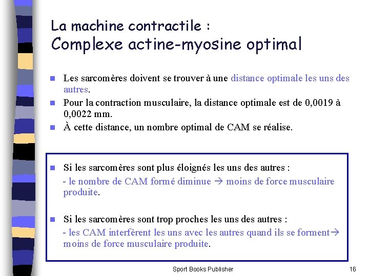 La machine contractile : Complexe actine-myosine optimal Les sarcomères doivent se trouver à une La machine contractile : Complexe actine-myosine optimal Les sarcomères doivent se trouver à une