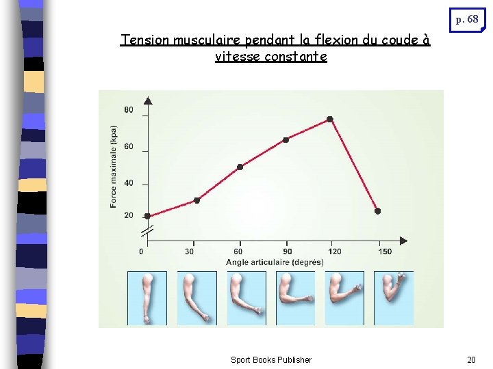 p. 68 Tension musculaire pendant la flexion du coude à vitesse constante Sport Books p. 68 Tension musculaire pendant la flexion du coude à vitesse constante Sport Books