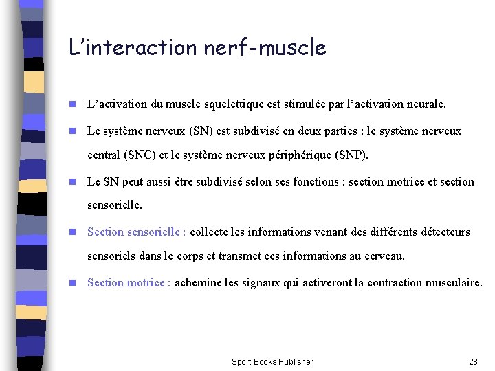 L’interaction nerf-muscle n L’activation du muscle squelettique est stimulée par l’activation neurale. n Le L’interaction nerf-muscle n L’activation du muscle squelettique est stimulée par l’activation neurale. n Le