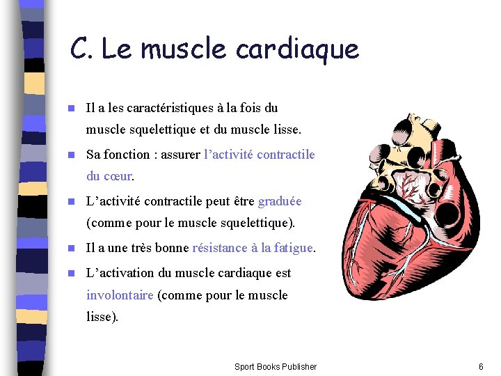 C. Le muscle cardiaque n Il a les caractéristiques à la fois du muscle C. Le muscle cardiaque n Il a les caractéristiques à la fois du muscle