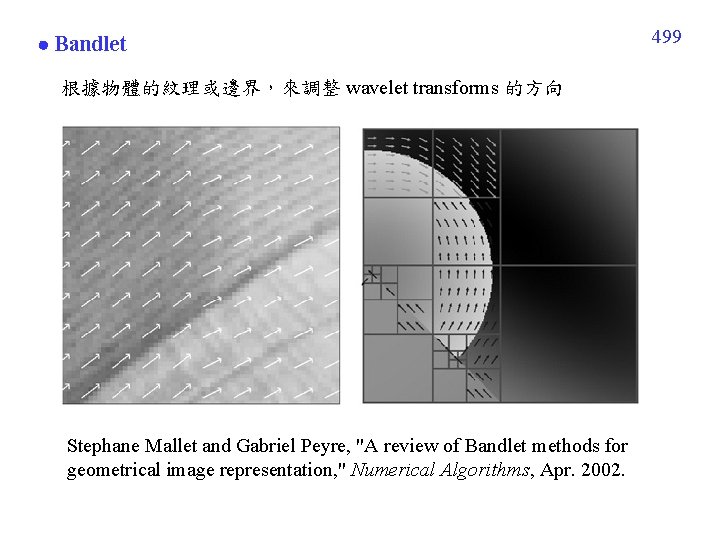  Bandlet 根據物體的紋理或邊界，來調整 wavelet transforms 的方向 Stephane Mallet and Gabriel Peyre, "A review of