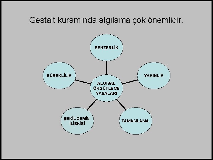 Gestalt kuramında algılama çok önemlidir. BENZERLİK SÜREKLİLİK YAKINLIK ALGISAL ÖRGÜTLEME YASALARI ŞEKİL ZEMİN İLİŞKİSİ