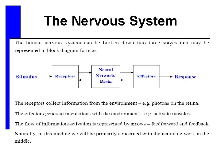 The Nervous System 