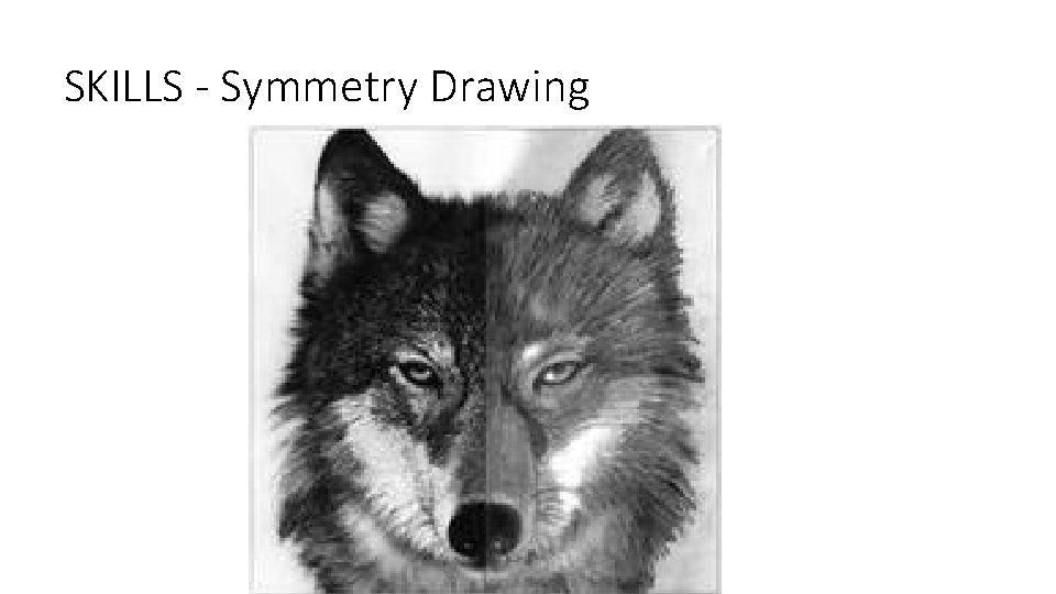 SKILLS - Symmetry Drawing 