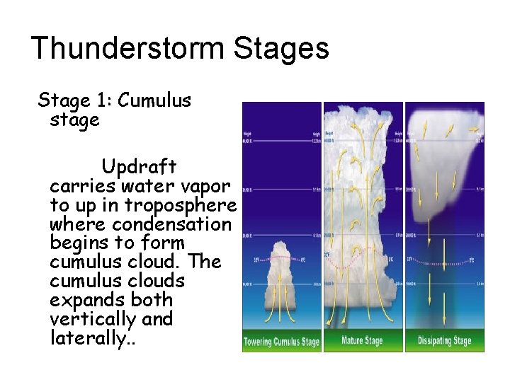 Thunderstorm Stages Stage 1: Cumulus stage Updraft carries water vapor to up in troposphere