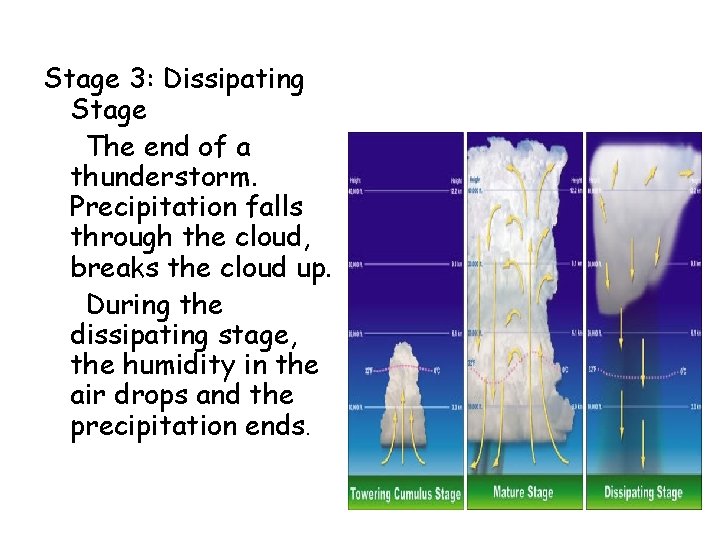 Stage 3: Dissipating Stage The end of a thunderstorm. Precipitation falls through the cloud,