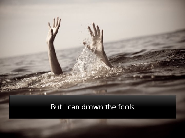 But I can drown the fools 