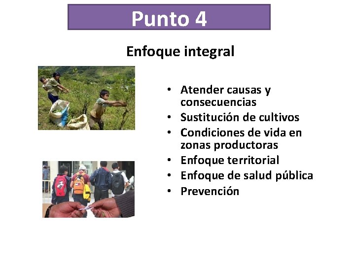 Punto 4 Enfoque integral • Atender causas y consecuencias • Sustitución de cultivos •