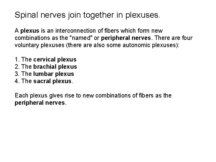 Spinal nerves join together in plexuses. A plexus is an interconnection of fibers which