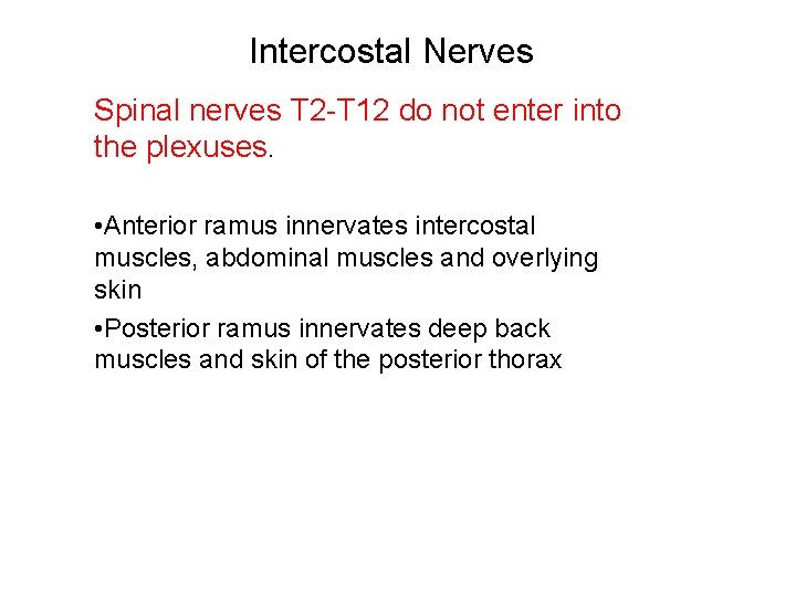 Intercostal Nerves Spinal nerves T 2 -T 12 do not enter into the plexuses.