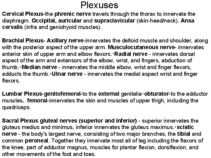 Plexuses Cervical Plexus-the phrenic nerve travels through the thorax to innervate the diaphragm. Occipital,