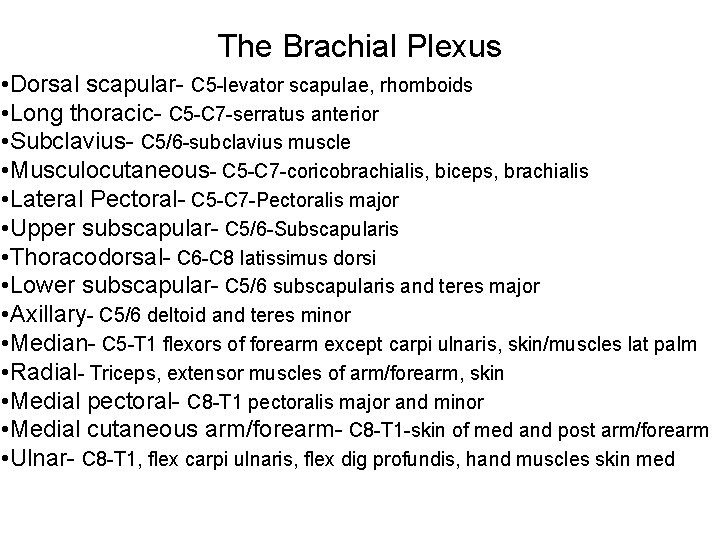 The Brachial Plexus • Dorsal scapular- C 5 -levator scapulae, rhomboids • Long thoracic-