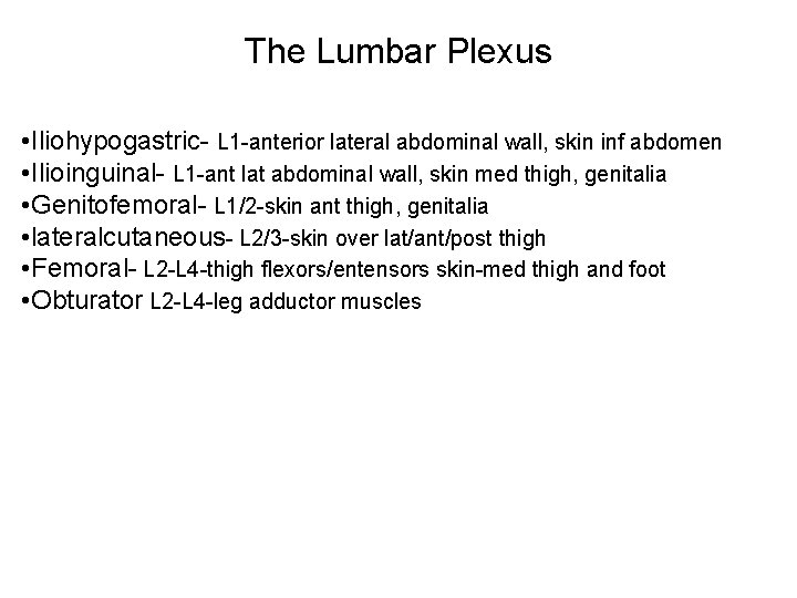 The Lumbar Plexus • Iliohypogastric- L 1 -anterior lateral abdominal wall, skin inf abdomen