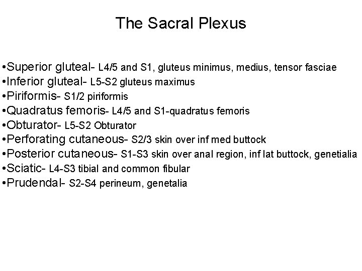 The Sacral Plexus • Superior gluteal- L 4/5 and S 1, gluteus minimus, medius,