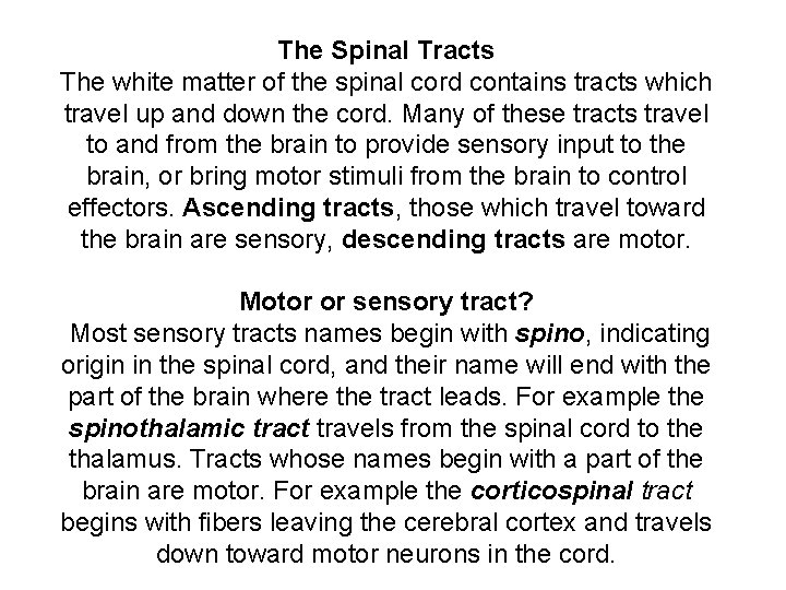 The Spinal Tracts The white matter of the spinal cord contains tracts which travel