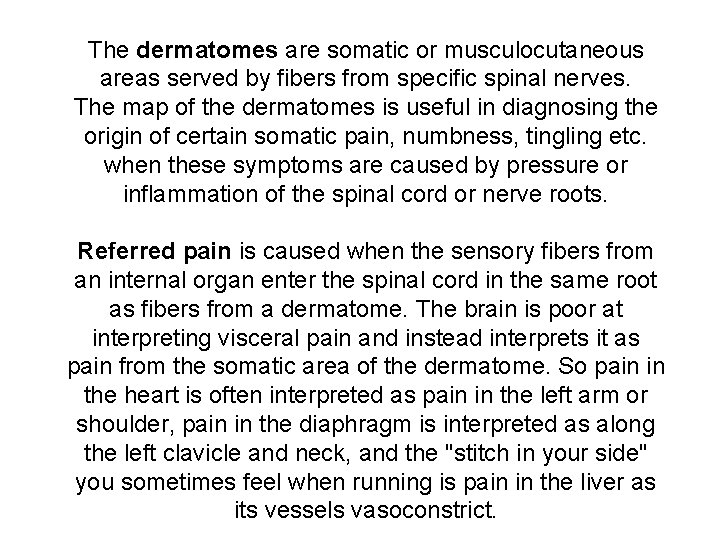 The dermatomes are somatic or musculocutaneous areas served by fibers from specific spinal nerves.