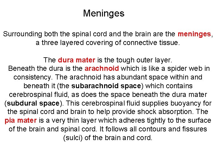 Meninges Surrounding both the spinal cord and the brain are the meninges, a three