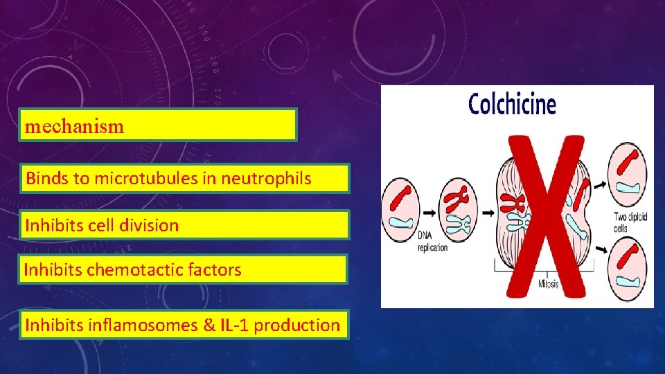 mechanism Binds to microtubules in neutrophils Inhibits cell division Inhibits chemotactic factors Inhibits inflamosomes