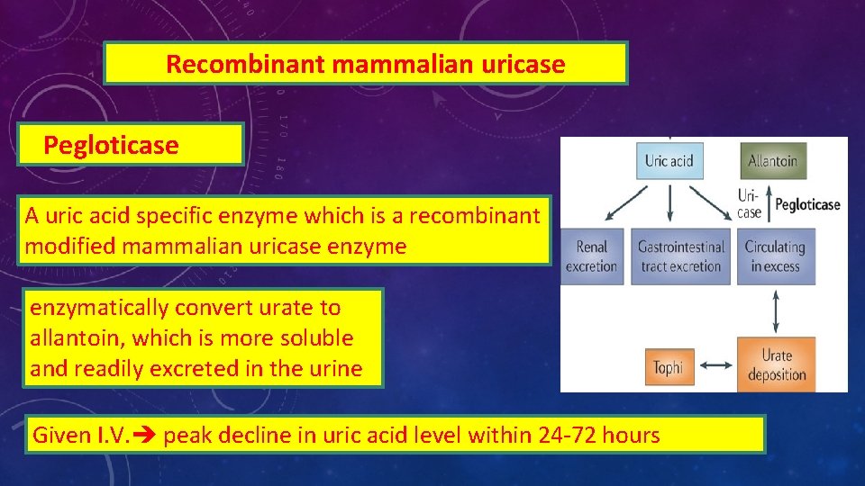 Recombinant mammalian uricase Pegloticase A uric acid specific enzyme which is a recombinant modified