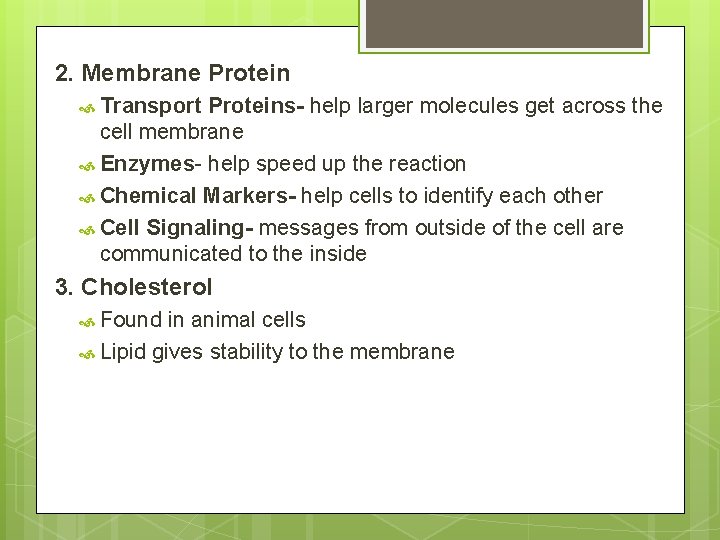 2. Membrane Protein Transport Proteins- help larger molecules get across the cell membrane Enzymes-