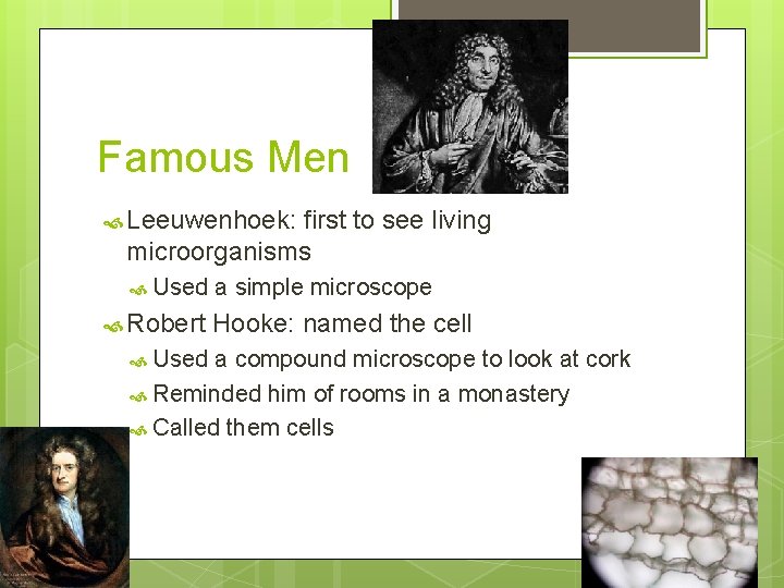 Famous Men Leeuwenhoek: first to see living microorganisms Used Robert Used a simple microscope