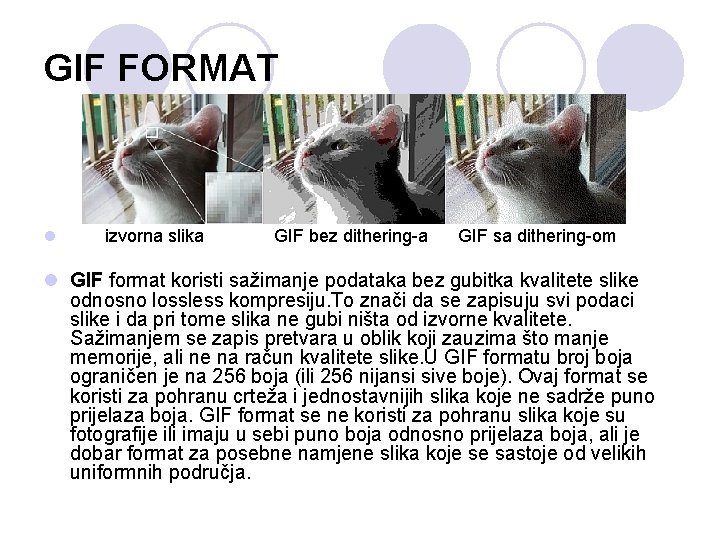 GIF FORMAT l izvorna slika GIF bez dithering-a GIF sa dithering-om l GIF format