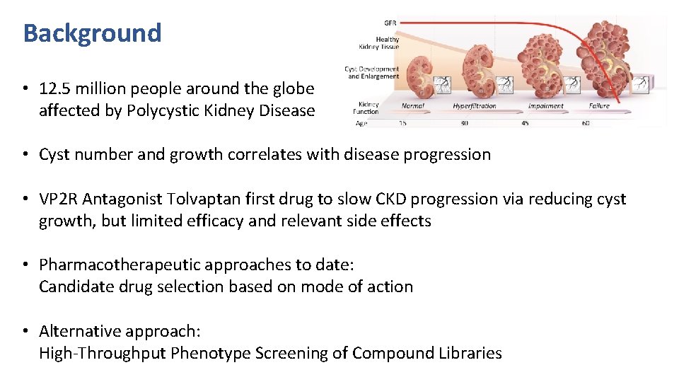 Background • 12. 5 million people around the globe affected by Polycystic Kidney Disease