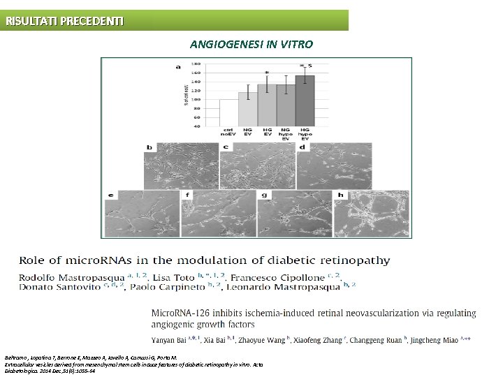 RISULTATI PRECEDENTI ANGIOGENESI IN VITRO Beltramo , Lopatina T, Berrone E, Mazzeo A, Iavello