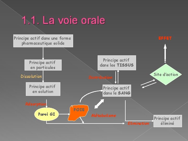 1. 1. La voie orale Principe actif dans une forme pharmaceutique solide EFFET Principe 1. 1. La voie orale Principe actif dans une forme pharmaceutique solide EFFET Principe