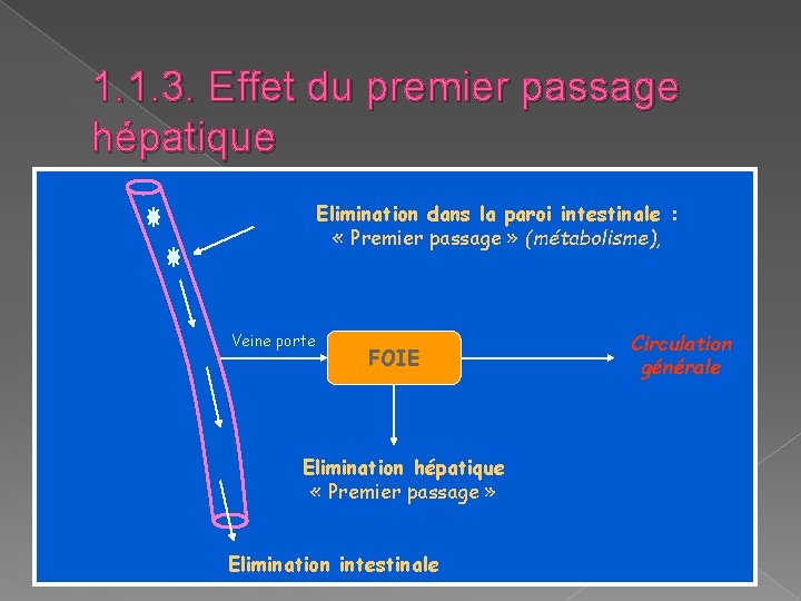 1. 1. 3. Effet du premier passage hépatique Elimination dans la paroi intestinale : 1. 1. 3. Effet du premier passage hépatique Elimination dans la paroi intestinale :
