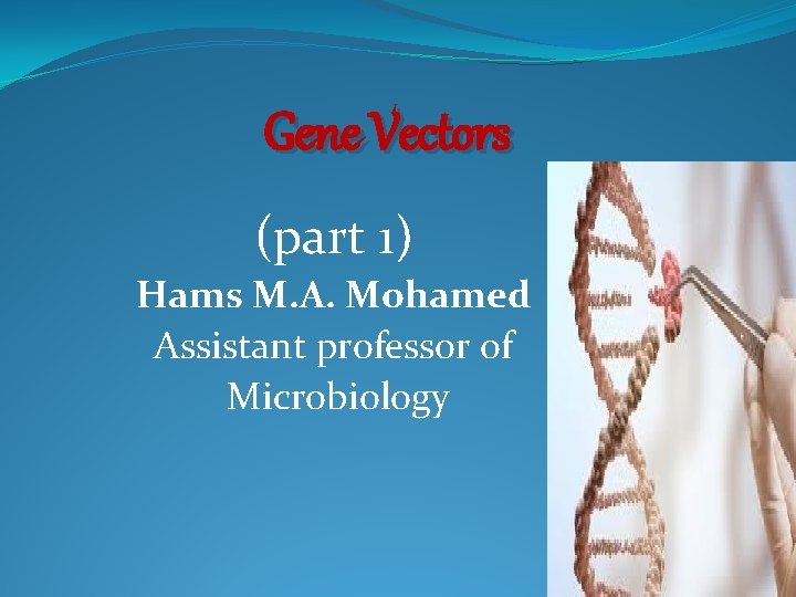 Gene Vectors (part 1) Hams M. A. Mohamed Assistant professor of Microbiology 