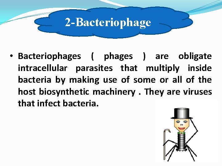 2 -Bacteriophage • Bacteriophages ( phages ) are obligate intracellular parasites that multiply inside