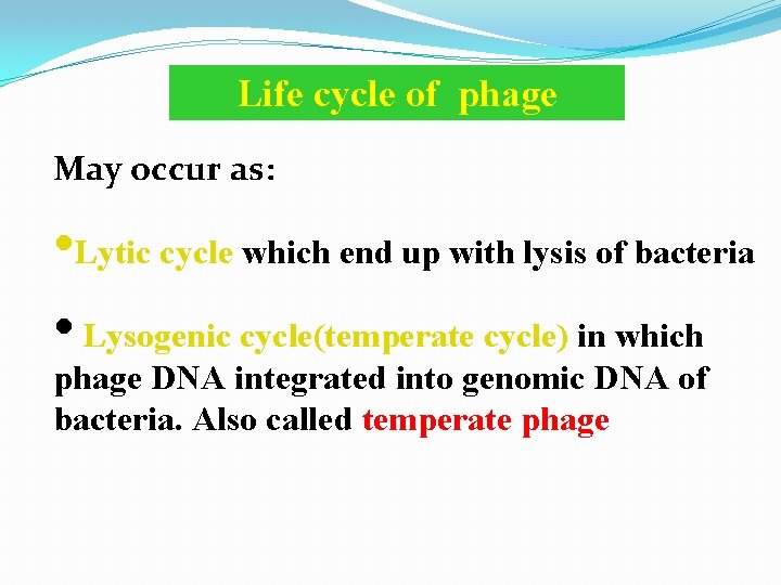 Life cycle of phage May occur as: • Lytic cycle which end up with