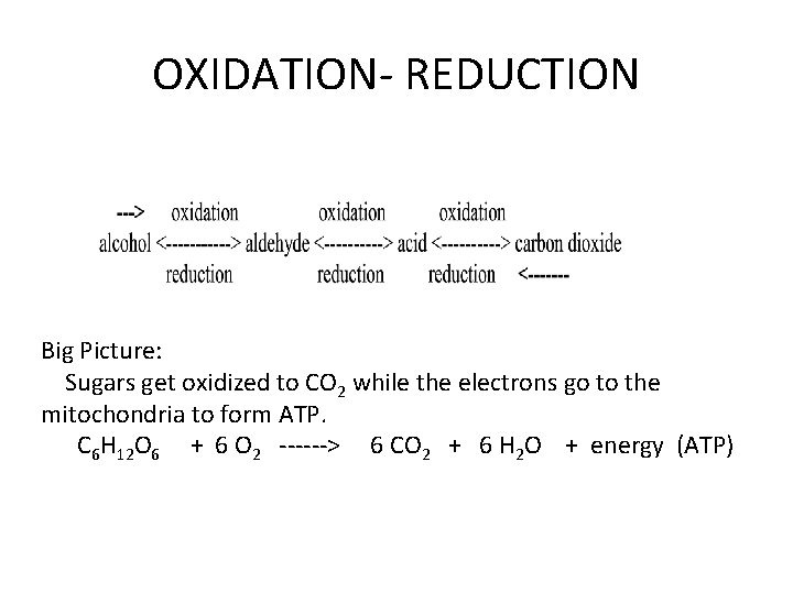 OXIDATION- REDUCTION Big Picture: Sugars get oxidized to CO 2 while the electrons go