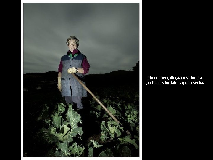 Una mujer gallega, en su huerta junto a las hortalizas que cosecha. 