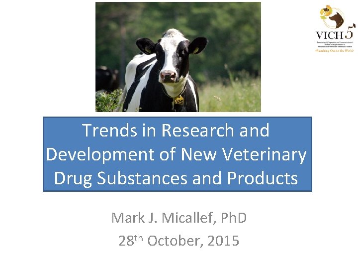 Drug Development Animals Innovation In Animal Drug Development – QIZR