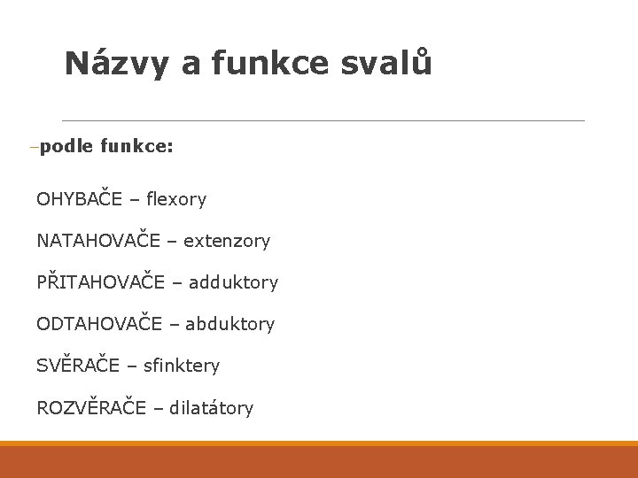 Názvy a funkce svalů –podle funkce: OHYBAČE – flexory NATAHOVAČE – extenzory PŘITAHOVAČE –