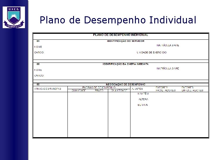 Plano de Desempenho Individual 