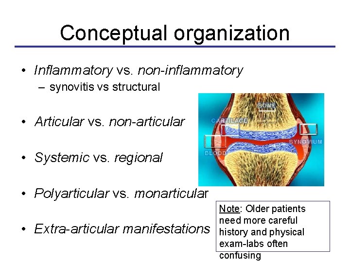 Conceptual organization • Inflammatory vs. non-inflammatory – synovitis vs structural • Articular vs. non-articular