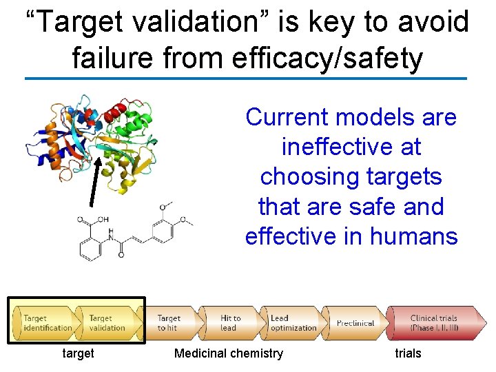 “Target validation” is key to avoid failure from efficacy/safety Current models are ineffective at